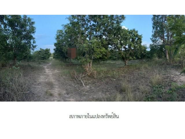 ขายที่ดินว่างเปล่ามือสอง    อำเภอเมืองอำนาจเจริญ   อำนาจเจริญ