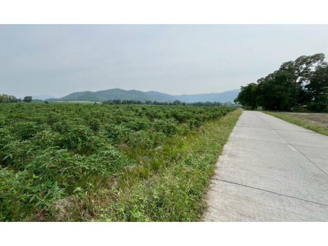 ที่ดินสีเหลือง