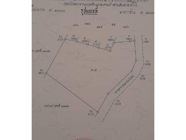 ขายที่ดิน ต.บ้านโสก อ.คอนสวรรค์ จ.ชัยภูมิ 2 ไร่ 2 งาน 88 ตรว.