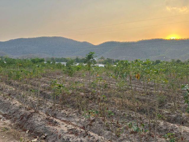 ขายที่ดิน 23-3-43 ไร่ พระบาทวังตวง ตำบลพระบาทวังตวง อำเภอแม่พริก จังหวัดลำปาง