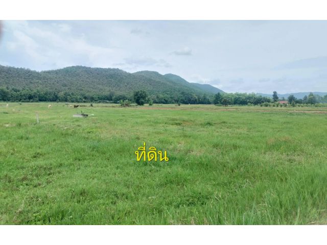 ++ Uๅeที่ดิน 4 ไร่ 3 งาน 42 ตรว. ต.ร้องวัวแดง อ.สันกำแพง จ.เชียงใหม่