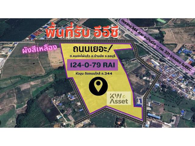 ขายที่ดินสุดปัง 124-0-79 ไร่ อ.บ้านบึง จ.ชลบุรีผังสีเหลือง