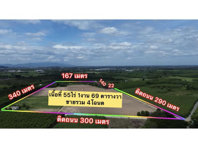 ที่ดินหนองอิรุณบ้านบึงแถมบ้าน 55-1-69ไร่ ไร่ละ 1.9ล้าน  ต.หนองอิรุณ อ.บ้านบึง จ.ชลบุรี ที่ดินแปลงสวยติดถนนสาธารณะสองด้าน