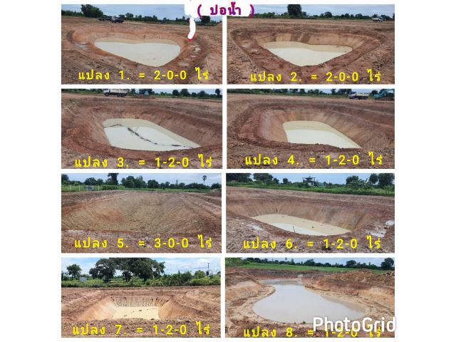 ที่ดิน (จัดล็อค) ขายยกโครงการ (โฉนด 9 ป.) ที่ดิน 14.5 ไร่ๆละ 220,000 บ. ขุดบ่อ ถมดิน ทำโคกหนองนา ถนนหินคลุก รั้ว ม.5 ต.สระกระโจม อ.ดอนเจดีย์ จ.สุพรรณฯ