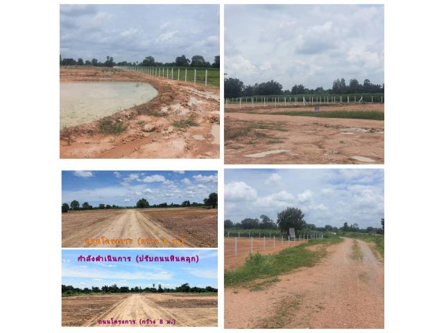ที่ดิน (จัดล็อค) ขายยกโครงการ (โฉนด 9 ป.) ที่ดิน 14.5 ไร่ๆละ 220,000 บ. ขุดบ่อ ถมดิน ทำโคกหนองนา ถนนหินคลุก รั้ว ม.5 ต.สระกระโจม อ.ดอนเจดีย์ จ.สุพรรณฯ