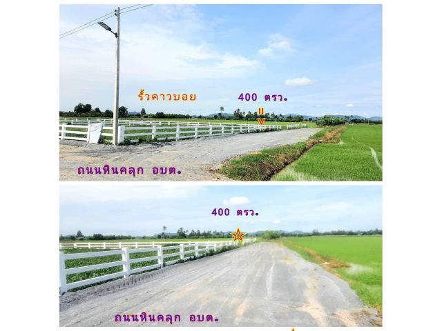 ที่ดิน (จัดล็อค) ขายยกโครงการ (โฉนด 9 ป.) ที่ดิน 14.5 ไร่ๆละ 220,000 บ. ขุดบ่อ ถมดิน ทำโคกหนองนา ถนนหินคลุก รั้ว ม.5 ต.สระกระโจม อ.ดอนเจดีย์ จ.สุพรรณฯ