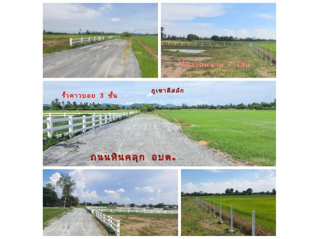 ที่ดิน (จัดล็อค) ขายยกโครงการ (โฉนด 9 ป.) ที่ดิน 14.5 ไร่ๆละ 220,000 บ. ขุดบ่อ ถมดิน ทำโคกหนองนา ถนนหินคลุก รั้ว ม.5 ต.สระกระโจม อ.ดอนเจดีย์ จ.สุพรรณฯ