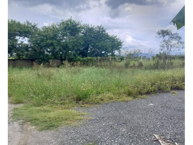 ขายที่ดินดอยสะเก็ดใกล้เมือง 100 ตรว.เพียง 550,000 และโอนฟรี บรรยากาศดี น้ำไม่ท่วม เหมาะปลูกบ้านอาศัย