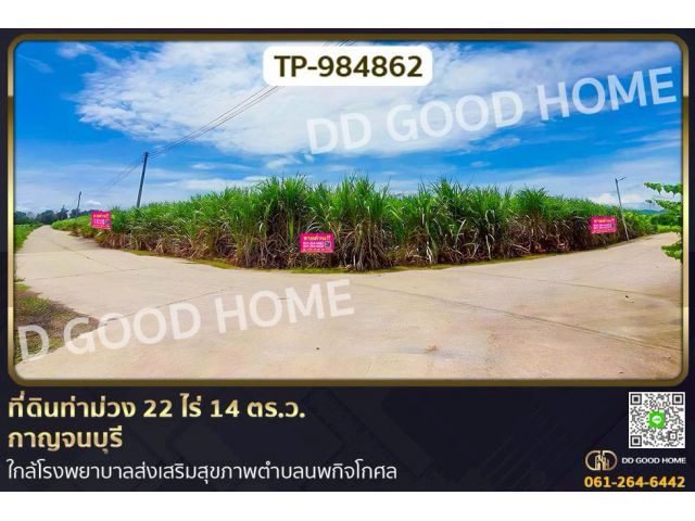 TP-984862 ที่ดินท่าม่วง 22 ไร่ 14 ตร.ว. กาญจนบุรี ใกล้โรงพยาบาลส่งเสริมสุขภาพตำบลนพกิจโกศล