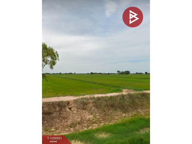 ขายที่ดิน เนื้อที่ 14 ไร่ 22 ตร.วา เมืองยาง นครราชสีมา