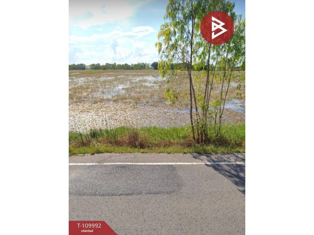 ขายที่ดิน เนื้อที่ 11 ไร่ 73 ตร.วา เมืองยาง นครราชสีมา