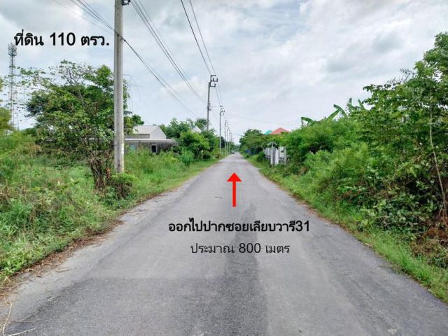ขายที่ดินหนองจอก 110 ตรว. ซ.เลียบวารี31 เหมาะปลูกสร้างบ้านอยู่อาศัย แปลงสวย หันทิศตะวันออก