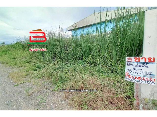 ที่ดินเปล่า ชุมชนสุสวาส 2 เนื้อที่ 75 ตร.ว (ใกล้การไฟฟ้าส่วนภูมิภาคสถานีไฟฟ้าคลองเจ็ด) ตำบลลำผักกูด อำเภอธัญบุรี ปทุมฯ