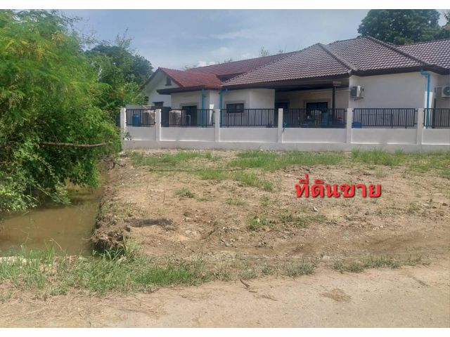 ๑๑๑ Uๅeที่ดิน 56.7 ตรว. หมู่บ้านสันตื ต.สันกลาง อ.สันกำแพง จ.เชียงใหม่