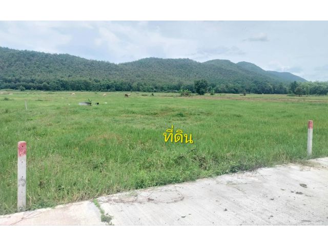 ๑๑๑ ซื้อที่แถมวิว ซื้อวิวแถมที่ 4 ไร่ 3 งาน 42 ตรว. ต.ร้องวัวแดง อ.สันกำแพง จ.เชียงใหม่