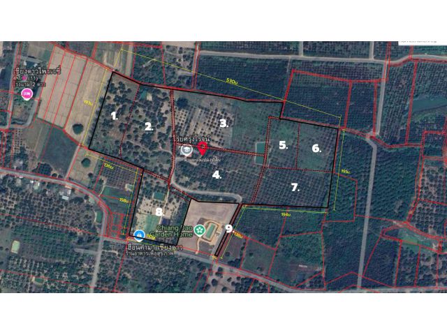 ๑๑๑ Uๅeที่ดินวิวดอยนาง 84 ไร่ บ้านสหกรณ์ ต.เมืองงาย อ.เชียงดาว จ.เชียงใหม่