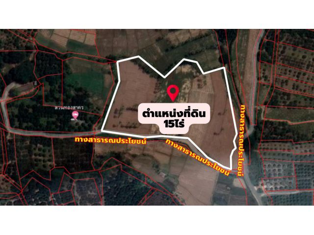 ๑๑๑ ขๅeที่ดิน15ไร่ติดถนน2ด้านอยู่ในชุมชนบ้านไร่ ต.ม่วงน้อย อ.ป่าซาง จ.ลำพูน