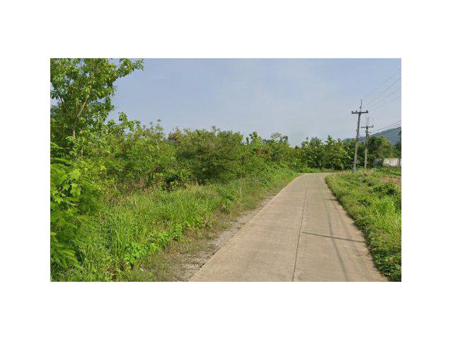 ขายที่ดิน 9 ไร่ ใกล้วัดบ่อทอง ต.บ่อทอง อ.ทองแสนขัน จ.อุตรดิตถ์