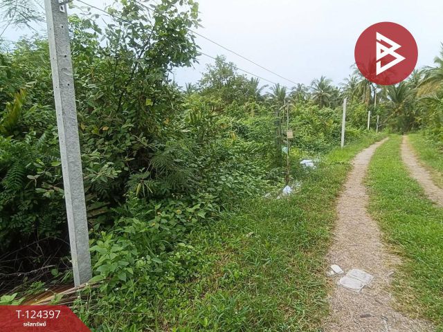 ขายที่ดิน เนื้อที่ 2 ไร่ 3 ตร.วา แม่กลอง สมุทรสงคราม