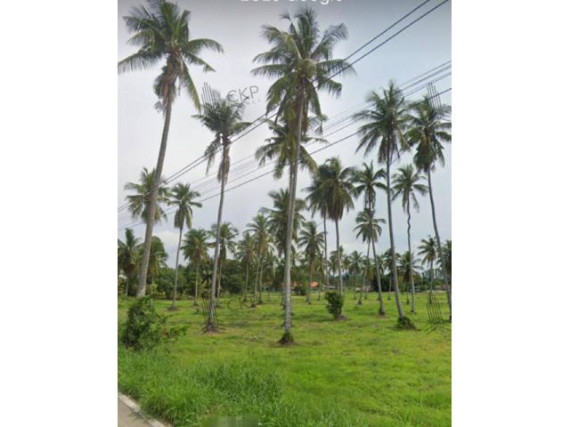 ที่ดินเปล่า ติดถนน 3 ด้าน ห่างจากถนนชบ. 1008 แค่ 400 เมตร เหมาะสร้างโรงแรม รีสอร์ท และหมู่บ้าน