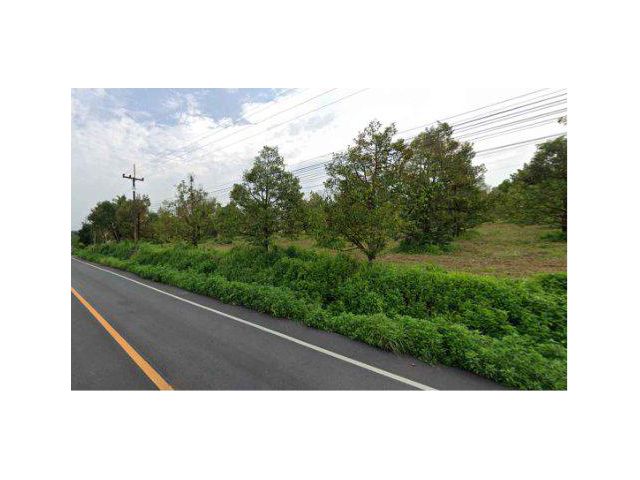 ขายสวนทุเรียน 1,200 ต้น พื้นที่ 56 ไร่ ต.ทุ่งนนทรี อ.เขาสมิง จ.ตราด