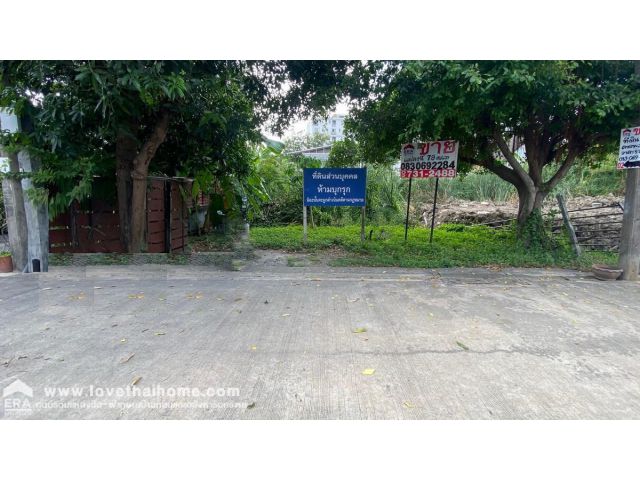 ขายที่ดินถนนลาดพร้าว 93 พื้นที่ 79 ตรว. ขายถูกสุดในย่านนั้น เข้าซอยเพียง 700 เมตร ใกล้แนวรถไฟฟ้าสายสีเหลือง และบิ๊กซี