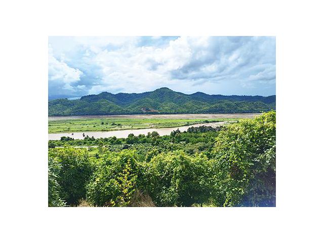 ที่ดินแปลงนี้เป็นที่ดินทำเลดี ไม่ไกลเชียงคาน ไฟฟ้าผ่าน โฉนด 4 ไร่แถมที่ว่าง20ไร่