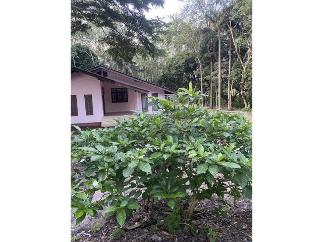 ขายที่ดิน7ไร่พร้อมบ้านและสวน อยู่ นาตาขวัญ เมือง ระยอง