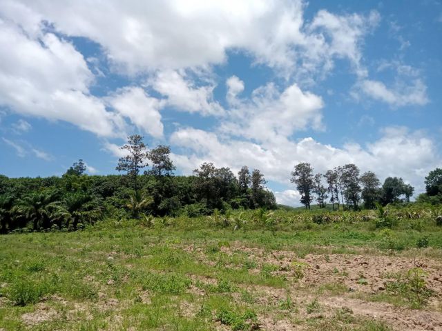 ทีสวยภูเรือ ใกล้ถนนใหญ่ เหมาะทำบ้านสวน โฉนด ทำเลดี มีเพื่อนบ้านถูกมาก!! เพียงไร่ละ 190,000