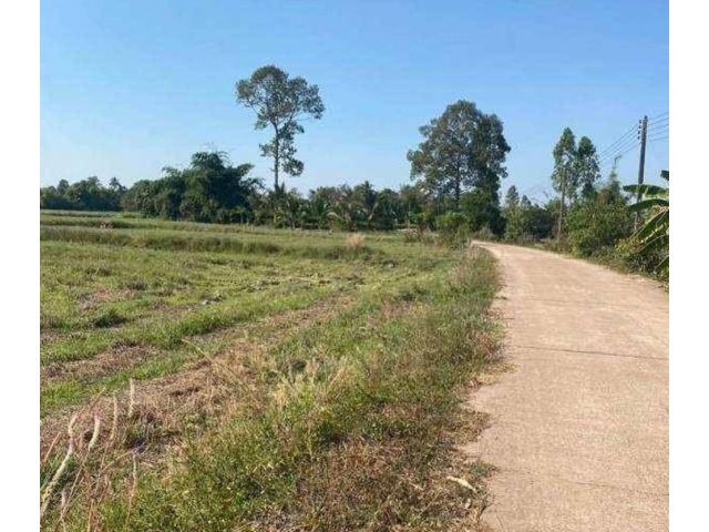 ขายที่ดิน 7 ไร่ ต.หนองโพรง อ.ศรีมหาโพธิ จ.ปราจีนบุรี