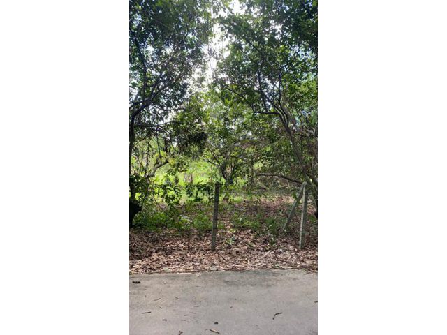 ขายสวน1ไร่ อยู่นาตาขวัญ เมือง ระยอง