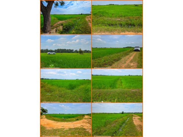 ขายที่นาแปลงเล็ก ใกล้ถนนเพชรเกษม อ.เมือง จ.เพชรบุรี
