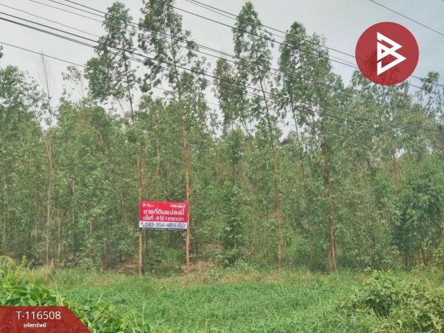 ขายที่ดิน เนื้อที่ 9 ไร่ 1 ตารางวา อ.ลาดยาว นครสวรรค์