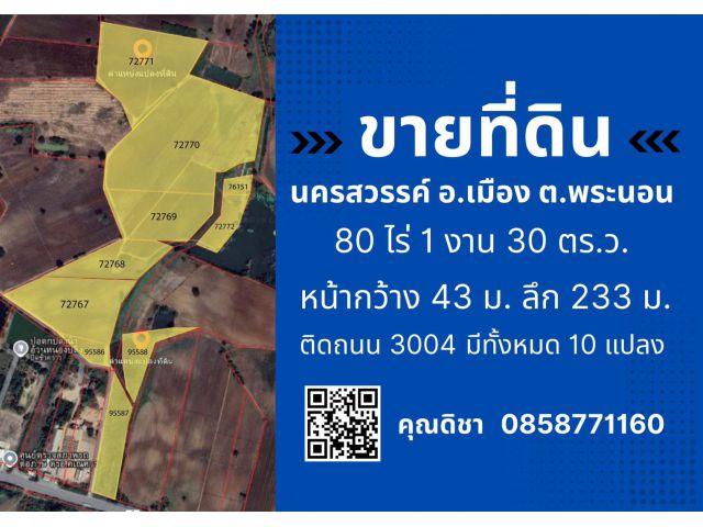 ขายที่ดิน 80 ไร่ 1 งาน 30 ตารางวาตำบล พระนอน อำเภอ เมืองนครสวรรค์ จังหวัดนครสวรรค์