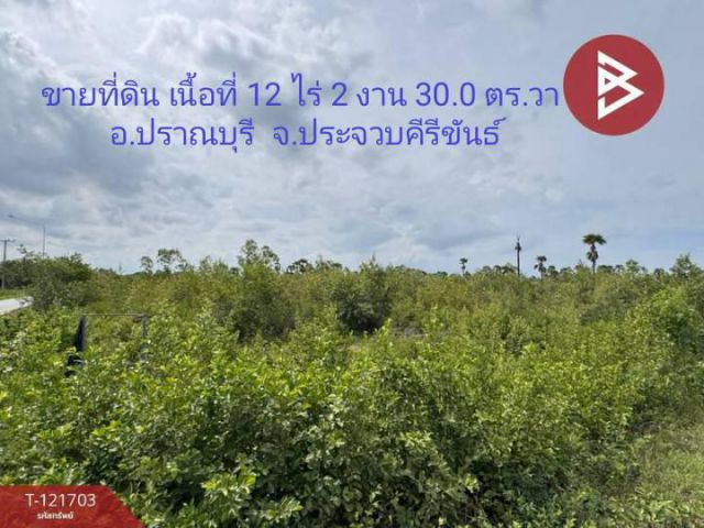 ขายที่ดิน เนื้อที่ 12 ไร่ 2 งาน 30.0 ตารางวา  อ.ปราณบุรี จ.ประจวบคีรีขันธ์