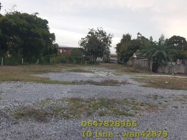 ขายที่ดินเปล่าพื้นที่สีม่วงลาย ในนิคมเอเชียมาบตาพุด ระยอง