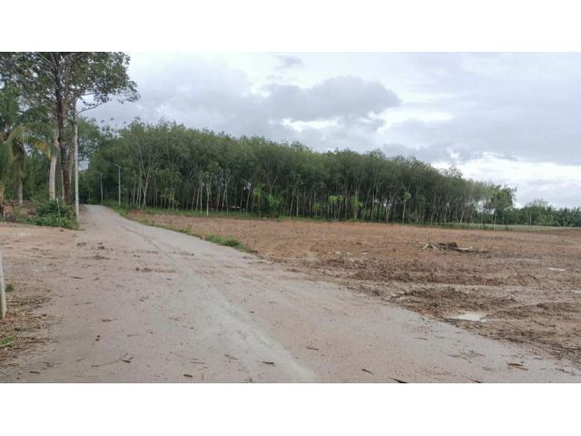 ขายที่ดินโฉนดในแหล่งท่องเที่ยว 10 ไร่ 1 งาน 33 ตรว