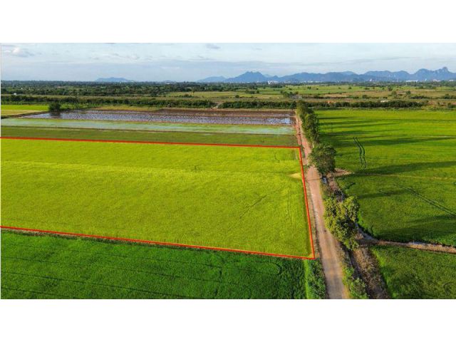 ที่นา 23-3-87 ไร่ แปลงสี่เหลี่ยม ใกล้คลองชลประทาน ตำบลบ้านกลับ อำเภอหนองโดน จังหวัดสระบุรี