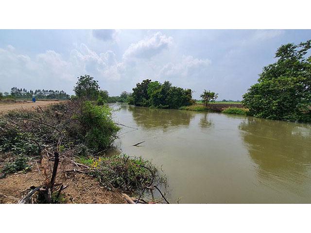 ที่ดินริมน้ำ ติดคลองท่าสารสายหลัก ได้ที่ฟรีอีกจำนวนหนึ่ง ที่สูงน้ำไม่ท่วม  8ไร่