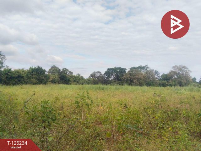 ขายที่ดิน เนื้อที่ 14 ไร่ 1 งาน 74 ตร.วา หันคา ชัยนาท