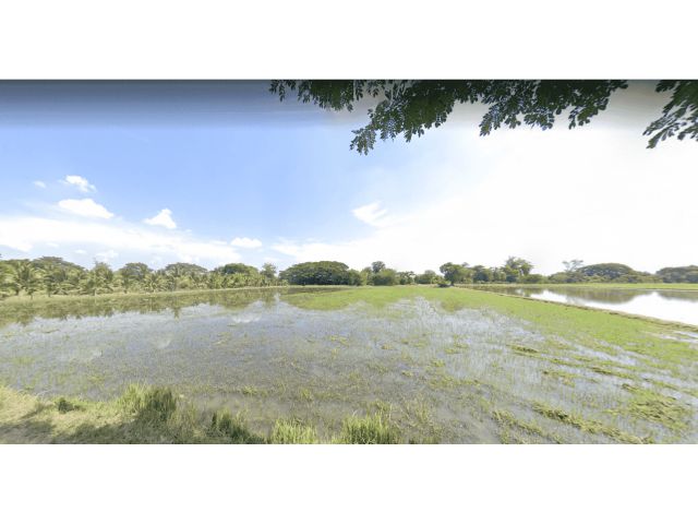 L829 ขายที่นาสวยทำเลดี 4 ไร่ เมืองราชบุรี