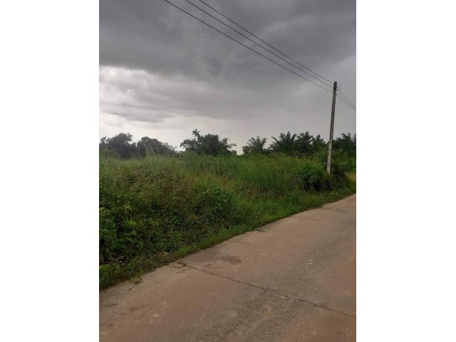 L832 ขายที่ดินถมแล้ว 1 ไร่ พนัสนิคม ชลบุรี