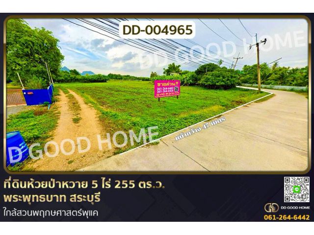 DD-004965 ที่ดินห้วยป่าหวาย 5 ไร่ 255 ตร.ว.พระพุทธบาท สระบุรี ใกล้สวนพฤกษศาสตร์พุแค