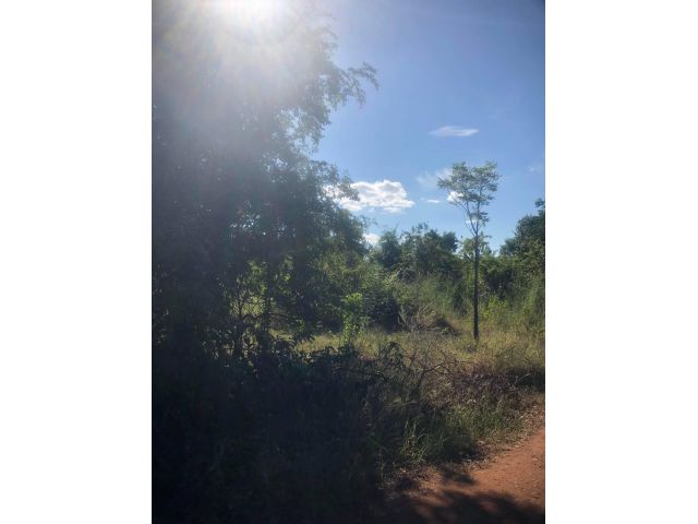 L835 ขายที่ดินสวยทำเลดี 218 ตรว เมืองเพชรบูรณ์