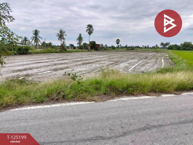 ขายที่ดิน เนื้อที่ 6 ไร่ 2 งาน 32 ตร.วา สามโก้ อ่างทอง