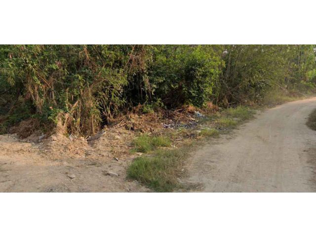 ขายที่ดิน 7 ไร่ ถนนตะเคียนเตี้ย ต.บางละมุง อ.บางละมุง จ.ชลบุรี