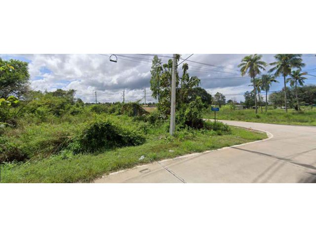 ขายที่ดิน 15 ไร่ ถนนหนองสะเดา ต.บางละมุง อ.บางละมุง จ.ชลบุรี