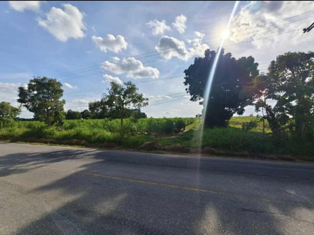 โค้งสุดท้าย กับโปรที่คนละครึ่ง  ที่ดินโฉนดติดถนนลาดยาง 14 ไร่ครึ่ง #ชัยภูมิ ไร่ละ 220,000 ชำระครึ่งก็เป็นเจ้าของที่ได้