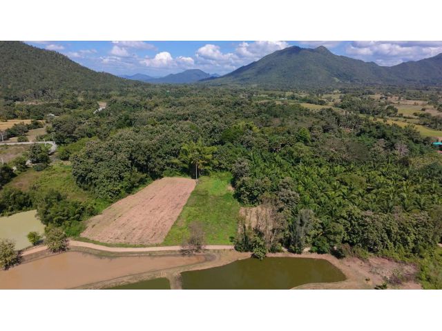 ที่ดินแบ่งขายใกล้ภูทอก อ.เชียงคาน จ.เลย