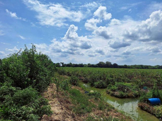 ที่ดิน เนื้อที่ 29ไร่ 2งาน 2ตารางวาอยู่ในซอยวิทยาลัยคริสเตียน